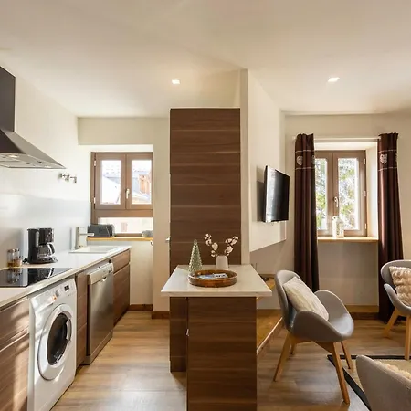4 Pieces Pour 6 Personnes, 4*, Exposition Sud-ouest, Valloire, Proche Telecabine Et Commerces - Fr-1-263-362 * Valloire